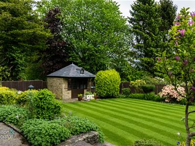 Picture 32